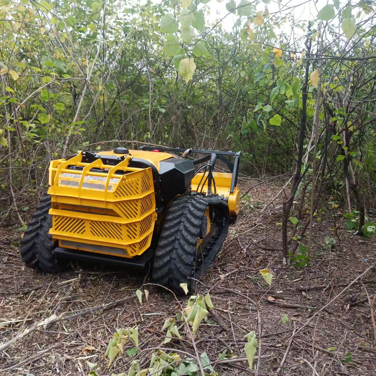 Penggerak Hutan Lawn (31)